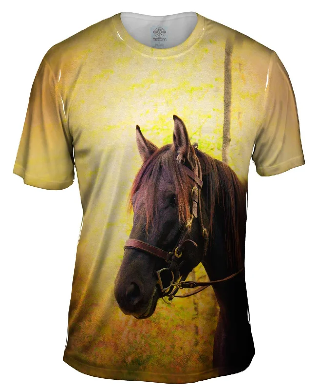 Yellow Pride Horse