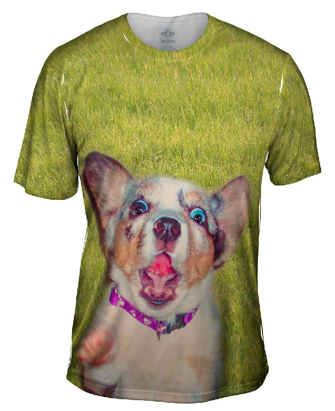 Zanny Dog Grass